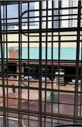 Chong Boon Centre (D20), Shop House #618133191